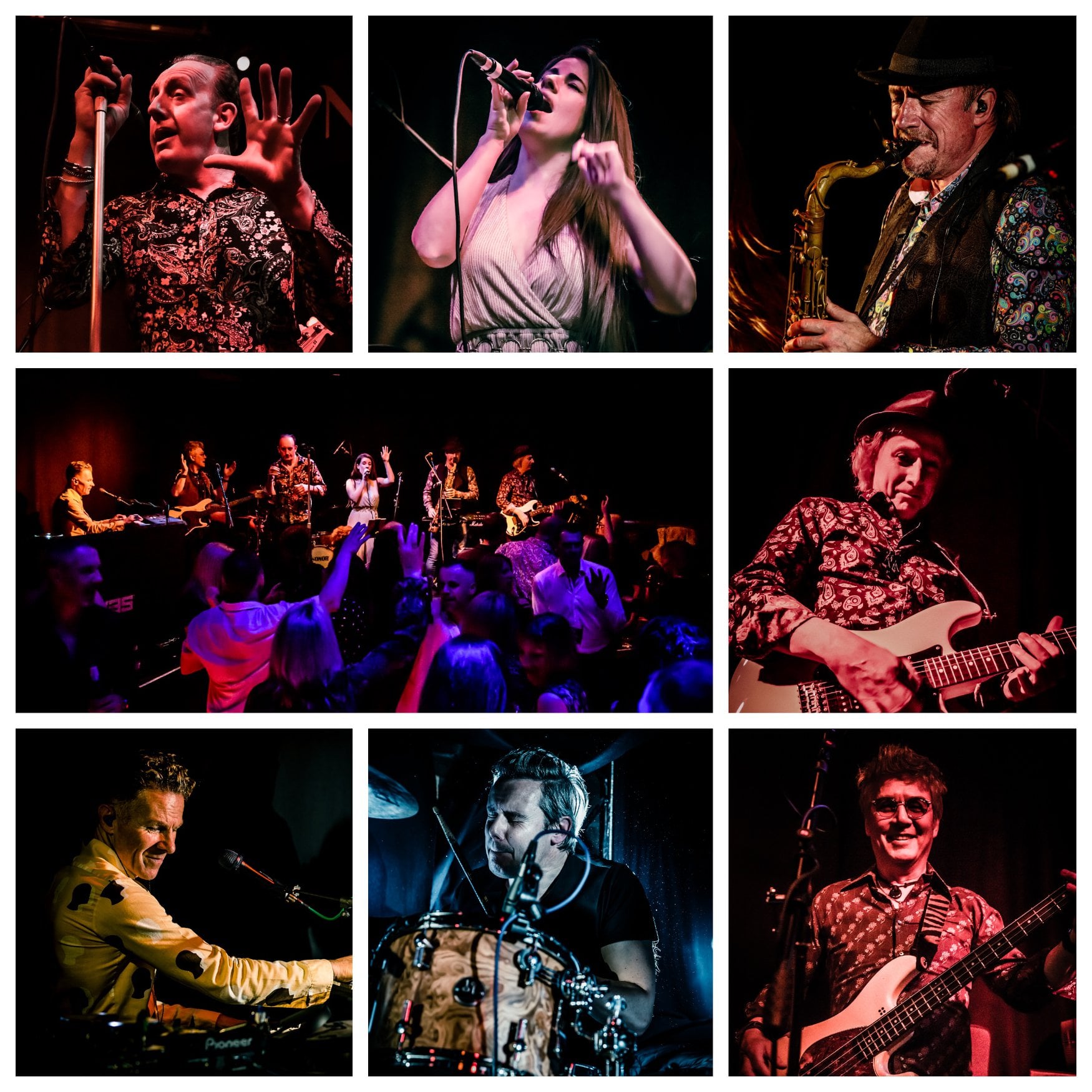 Groovemeister performance